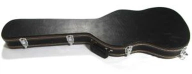 इलेक्ट्रिक बास गिटार मामलों